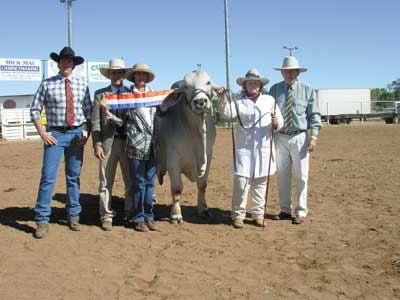 Pictured with the Grand Champion Bull Elrose Preston are from left, Associate Judge Jack Neilson, Channel Country Stud, Two Rivers Station, Boulia, Judge Brett Coombe and his wife Lyn, Roxborough Stud, Moura, Claire Britton holding the Champion and Chris Phillips, Landmark Cloncurry who sponsored the Championship award